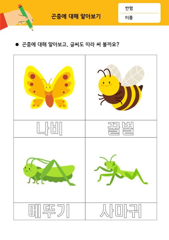 [따라쓰기] 곤충에 대해 알아보기_나비, 꿀벌, 메뚜기, 사마귀