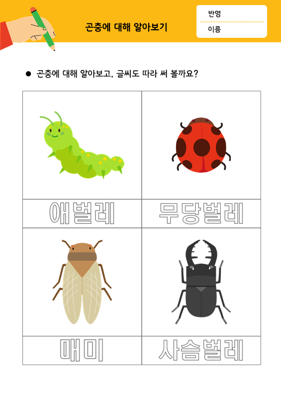 [따라쓰기] 곤충에 대해 알아보기_애벌레, 무당벌레, 매미, 사슴벌레