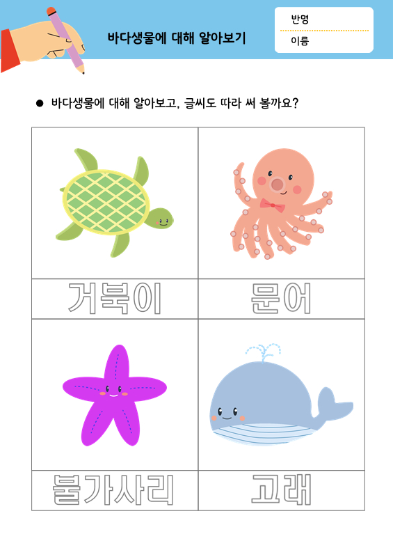 [따라쓰기]바다생물에 대해 알아보기_거북이, 문어, 불가사리, 고래