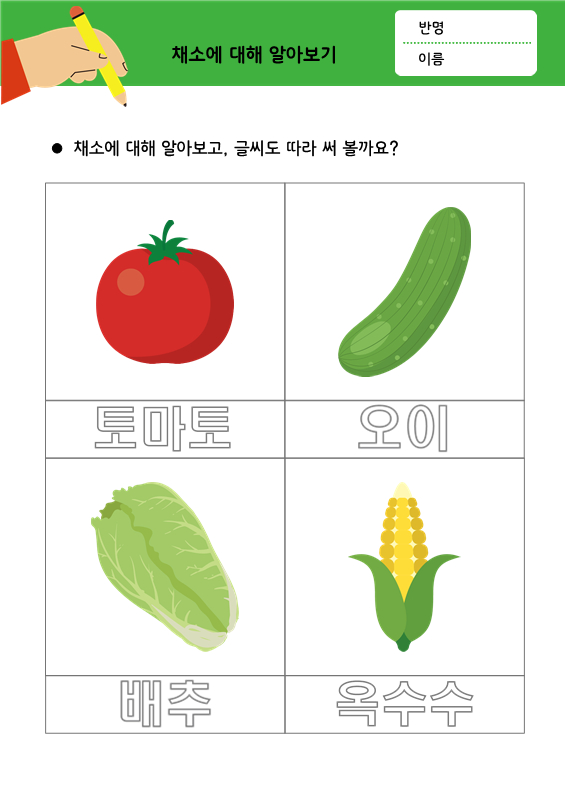 [따라쓰기] 채소에 대해 알아보기 1