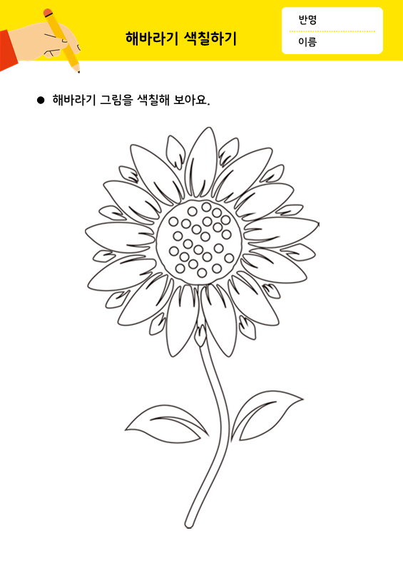 해바라기 색칠하기
