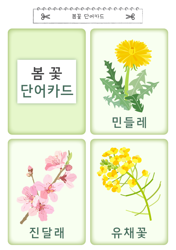 봄꽃 단어카드
