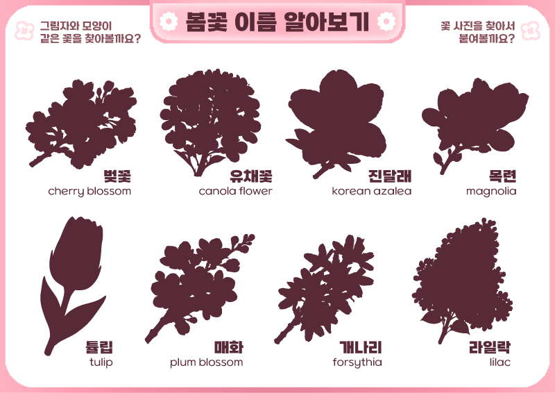봄꽃 이름 알아보기 _ 그림자 맞추기 놀이