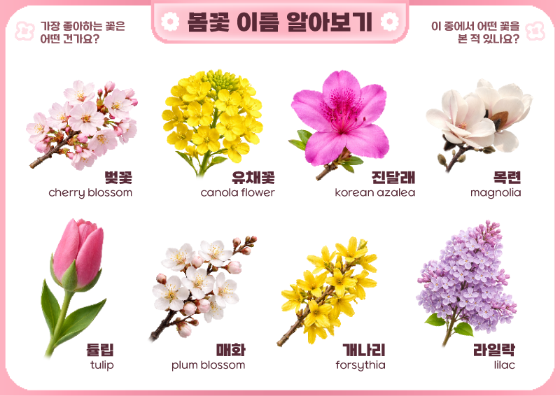 봄꽃 이름 알아보기