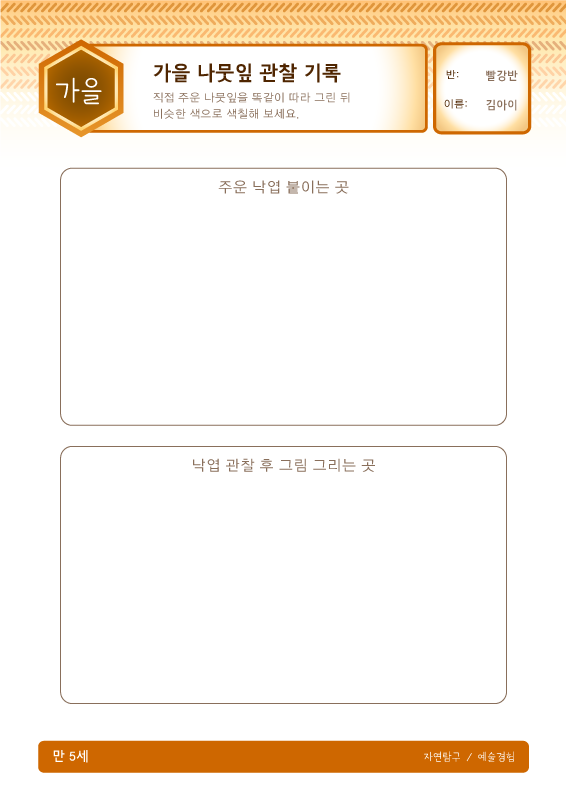 가을 나뭇잎 관찰 기록