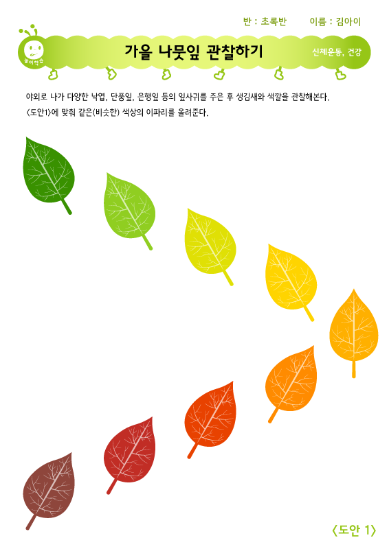 놀이 학습: 나뭇잎 관찰하기