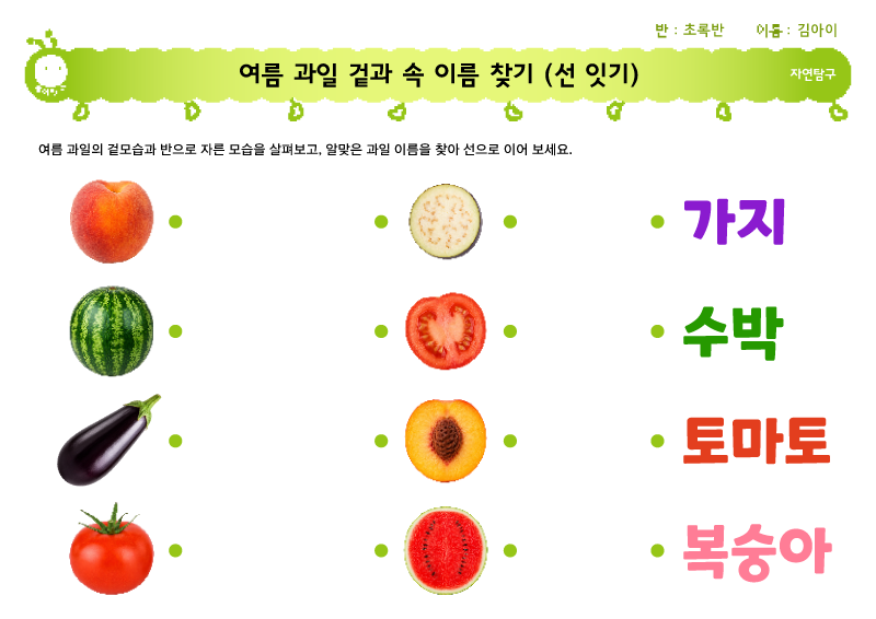 여름 과일 겉과 속 이름 찾기 (선 잇기)