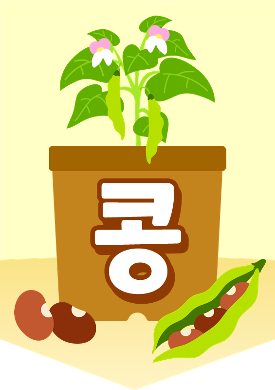 강낭콩 화분 심기 가랜드
