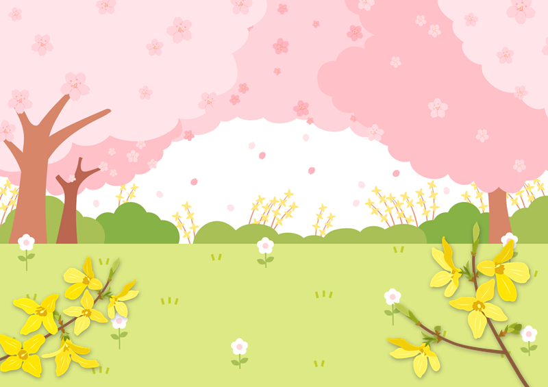 개나리 벚꽃 동산 배경