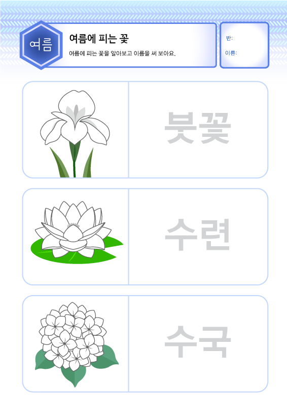 여름에 피는 꽃_색칠공부